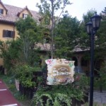 DVC00343.jpg