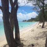 DVC00350 120612_105301