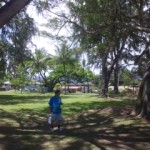 DVC00354 120612_112746