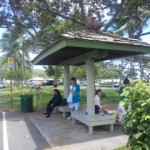 DVC00359 120612_113717