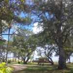 DVC00360 120612_113725