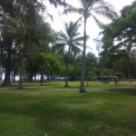 DVC00361 120612_113735