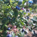 DVC00005 120731_150755