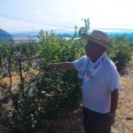 DVC00007 120731_150834