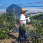 DVC00011 120731_151157