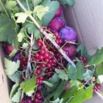 DVC00012 120731_164903