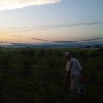 DVC00016 120731_184316