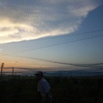 DVC00017 120731_184326