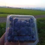 DVC00018 120731_184542