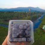 DVC00019 120731_184557