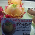 DVC00035 120715_112638