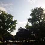 DVC00044 120719_071408