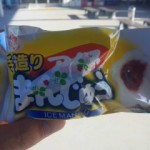 DVC00032 120802_164905