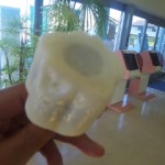 DVC00033 120802_164936