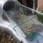 DVC00194 120818_153646