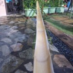 DVC00199 120818_155413