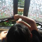 DVC00238 120823_154351