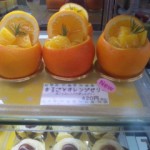 DVC00250 120826_133733