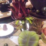 DVC00084 120912_165546