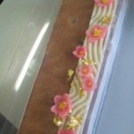 DVC00159 120929_093704