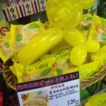 DVC00379 120905_144532