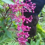 DVC00065 121011_094535