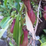 DVC00066 121011_094704