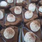 DVC00029 121201_082451