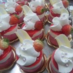 DVC00031 121201_084355