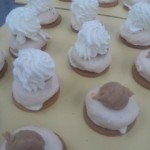 DVC00036 121201_171204